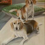 2 honden