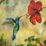 kolibri